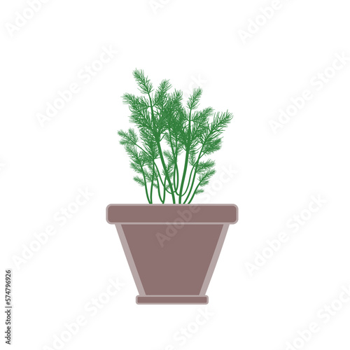 Dill herb in clay pot vector illustration 