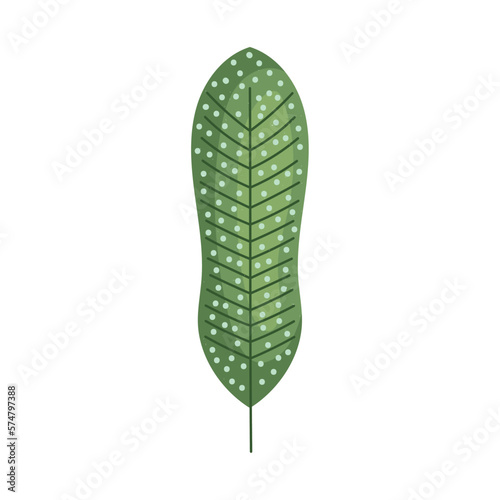 dotted leaf plant foliage