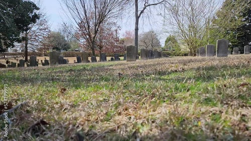 low angle panning footage of a graveyard with headstones, graves, bare winter trees, lush green trees, plants and grass with blue sky at the Oakland Cemetery in Atlanta Georgia USA photo