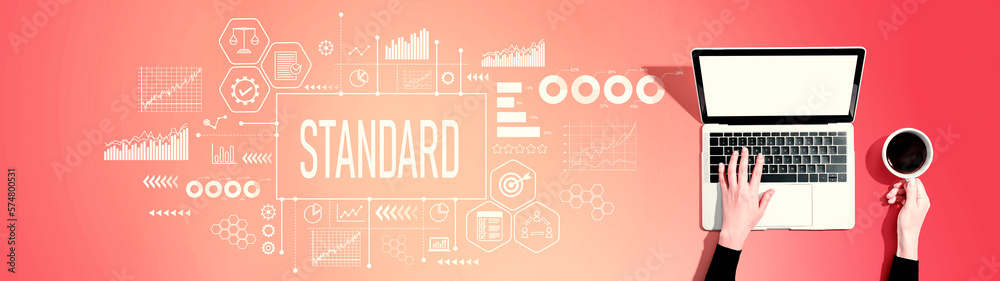Standard theme with person using a laptop computer Standard theme with person using a laptop computer