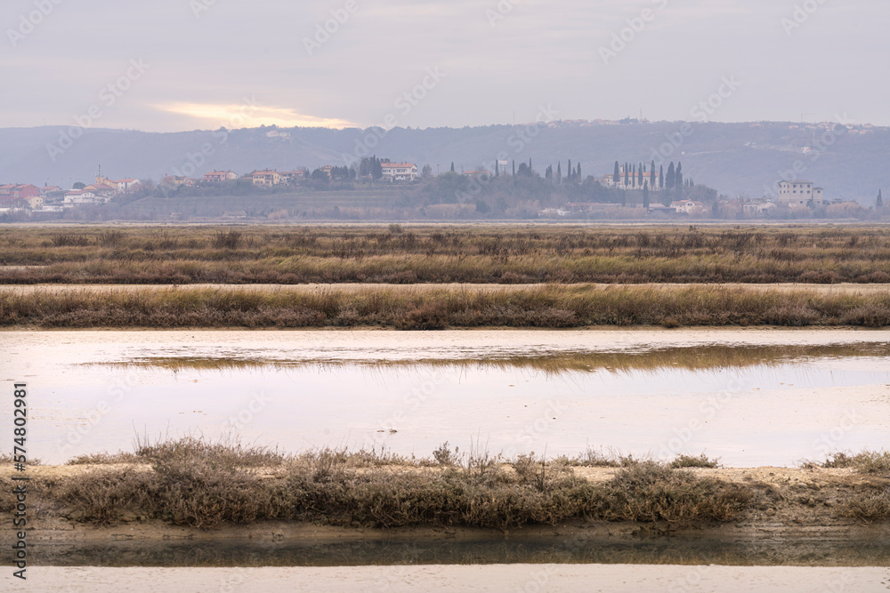 Winter panoramic view of marine pools in Secovlje salt pan, Slovenia Winter panoramic view of marine pools in Secovlje salt pan, Slovenia