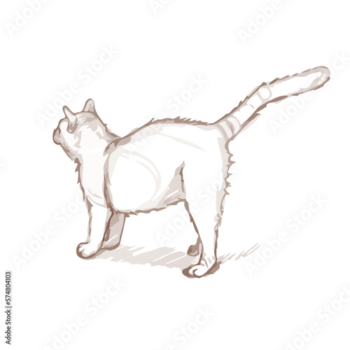 A cute cat stands and looks into the distance. Hand drawn vector illustration. A quick sketch of a funny cat.