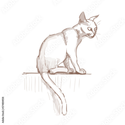 A quick sketch of a sitting cat. Hand drawn vector illustration. A cat with a long tail sits on a table.
