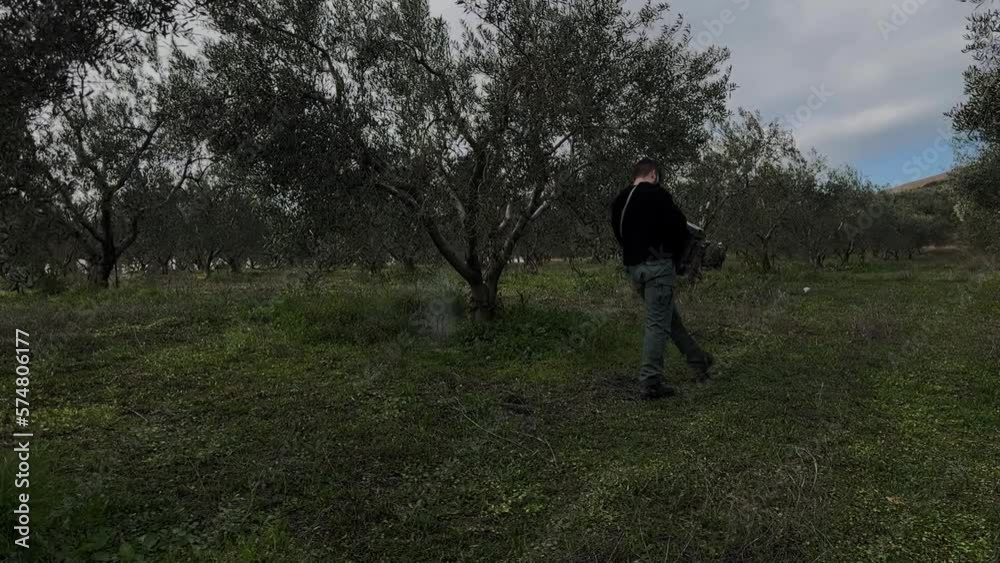 Young Adult Farmer, Fertilizing Olive Trees, Olive Field Winter Day Slow Motion Young Adult Farmer, Fertilizing Olive Trees, Olive Field Winter Day Slow Motion