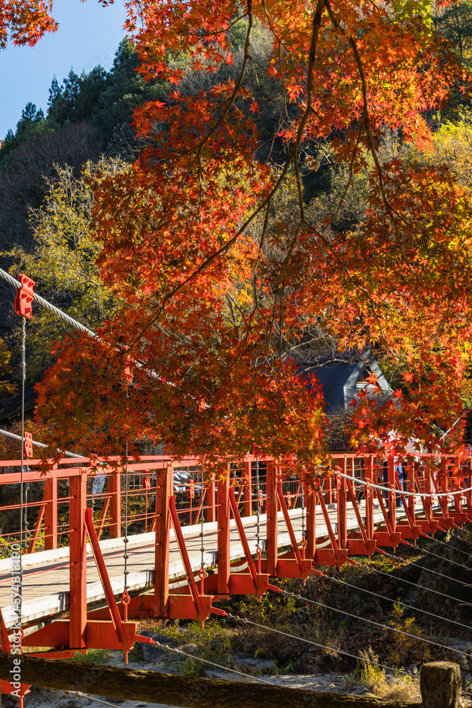 日本　愛知県豊田市足助町の香嵐渓の紅葉と巴川にかかる香嵐橋..