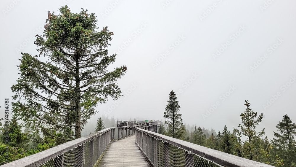 Bachledova Dolina, Slovakia, path in the treetops. Fog in the mountains Bachledova Dolina, Slovakia, path in the treetops. Fog in the mountains