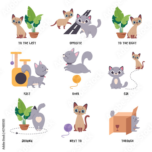 Cute Grey Cat Demonstrating Prepositions with Different Object Vector Set