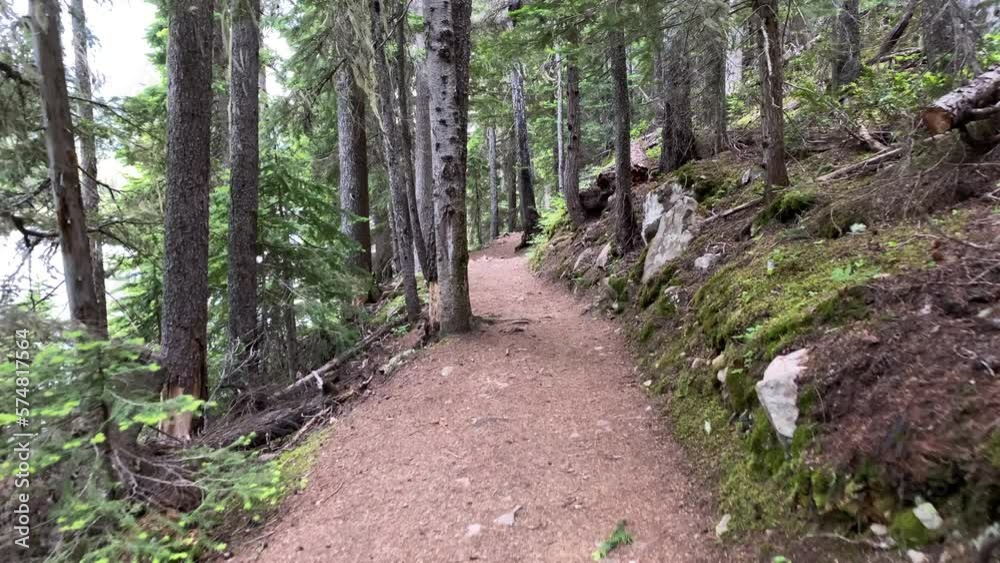 Establishing shot of trail in park in slow motion at summer day in Vancouver, Canada, North America. Day time on September 2022. Still camera. ProRes 422 HQ.