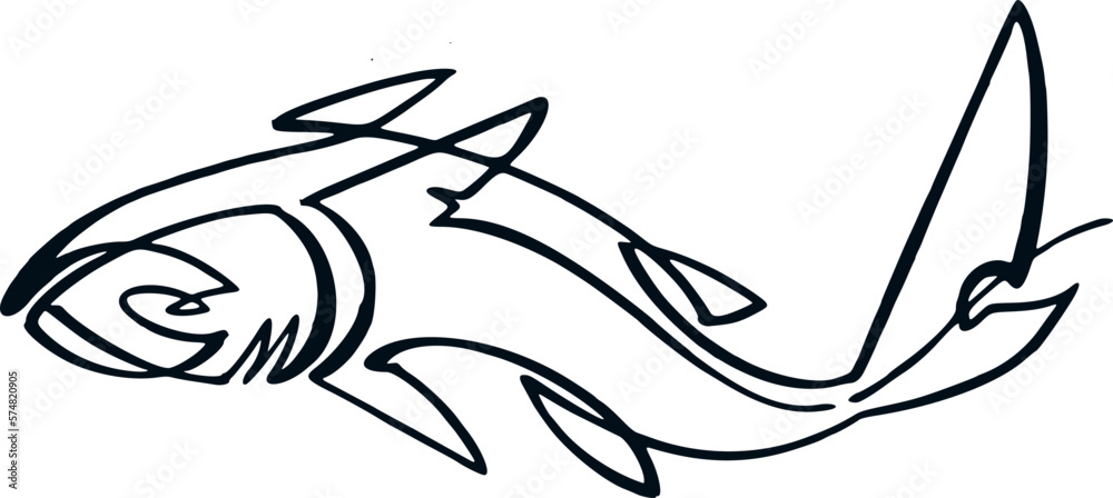 vector illustration of a shark fish vector illustration of a shark fish