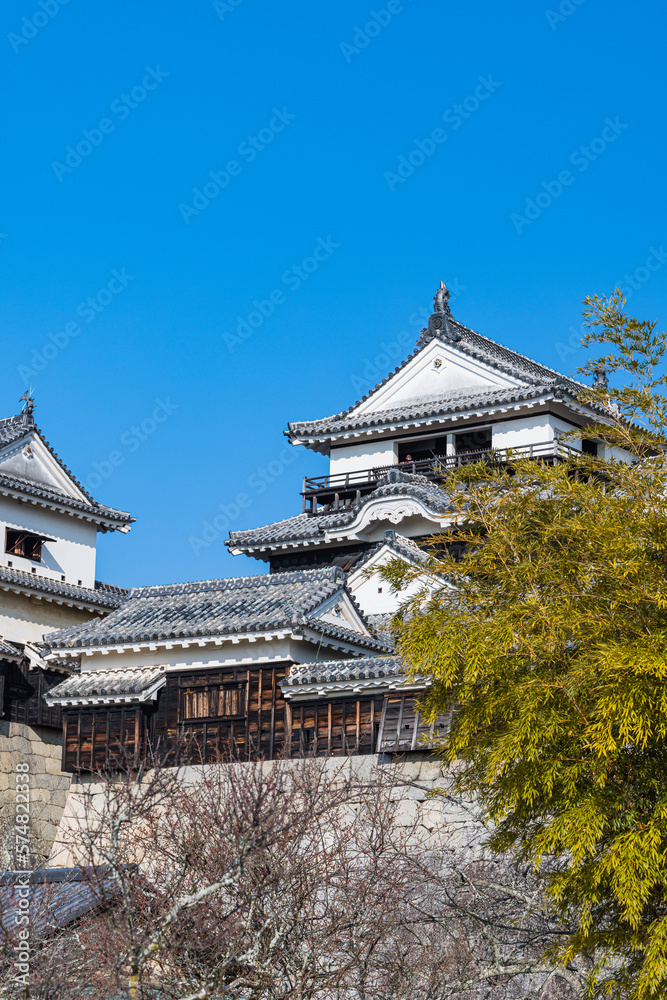 日本　愛媛県松山市の松山城の天守閣