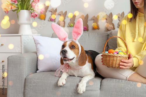 Canvas Print Cute Beagle dog with bunny ears and her female owner with Easter eggs at home