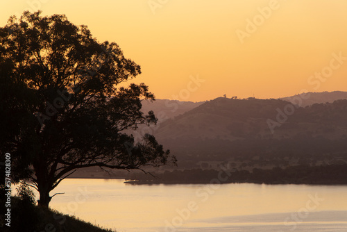 Serenity at Sunset: Silhouetted Tree over Lake Hume
