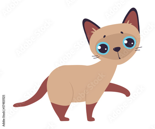 Cute Siamese Cat with Standing with Raised Paw Vector Illustration
