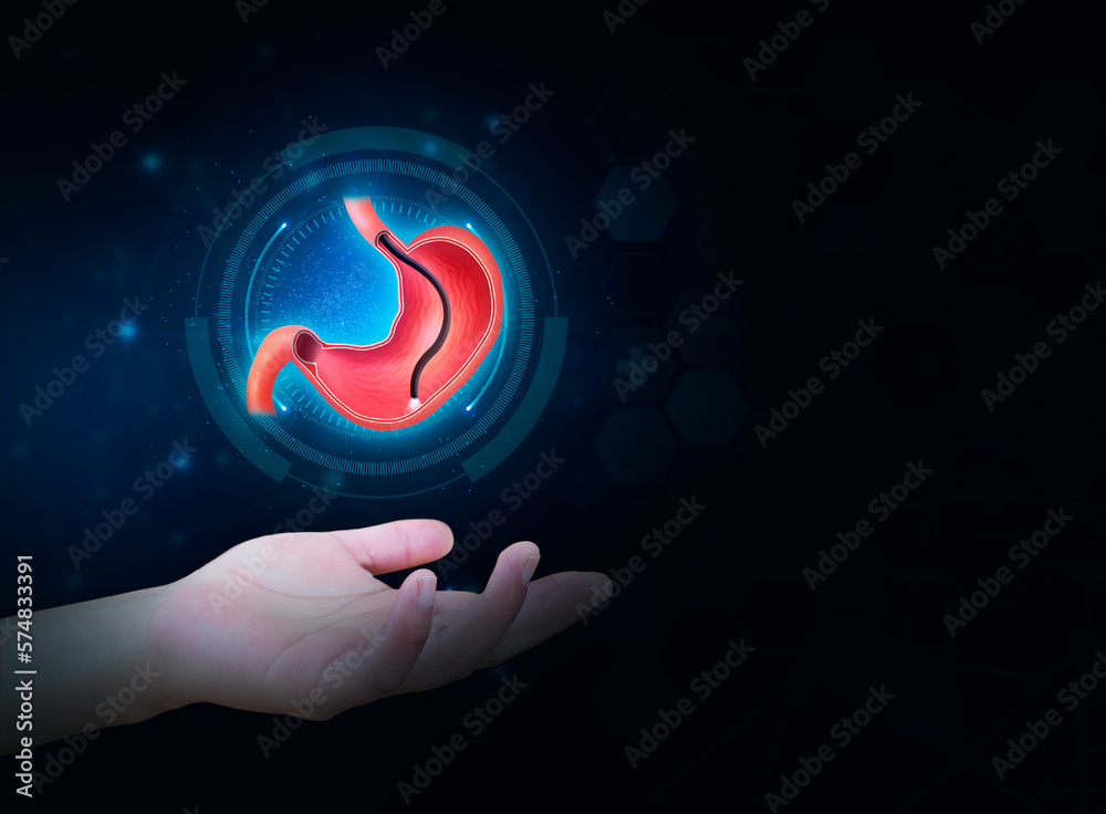 Endoscopic biopsy, esophagogastroduodenoscopy, EGD. Human stomach isolated on technological