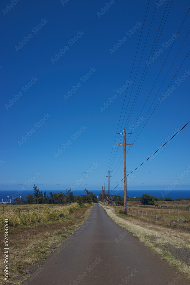 Fototapeta premium road in the countryside