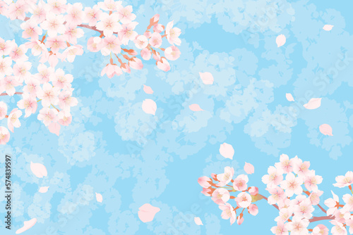 満開の桜と桜吹雪のイラスト、春のイメージの背景素材