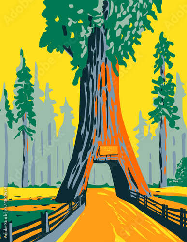 WPA poster art of the Chandelier Tree in Drive Thru Tree Park in Leggett, California located within Redwood National Park done in works project administration style.