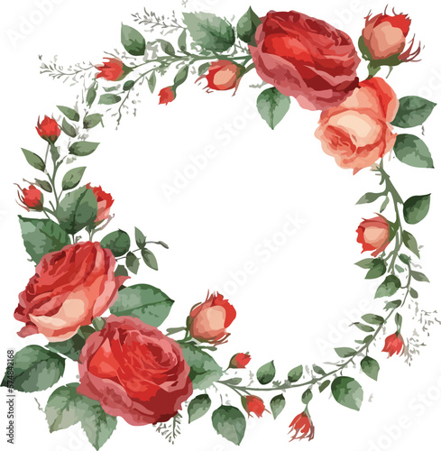 red rose frame