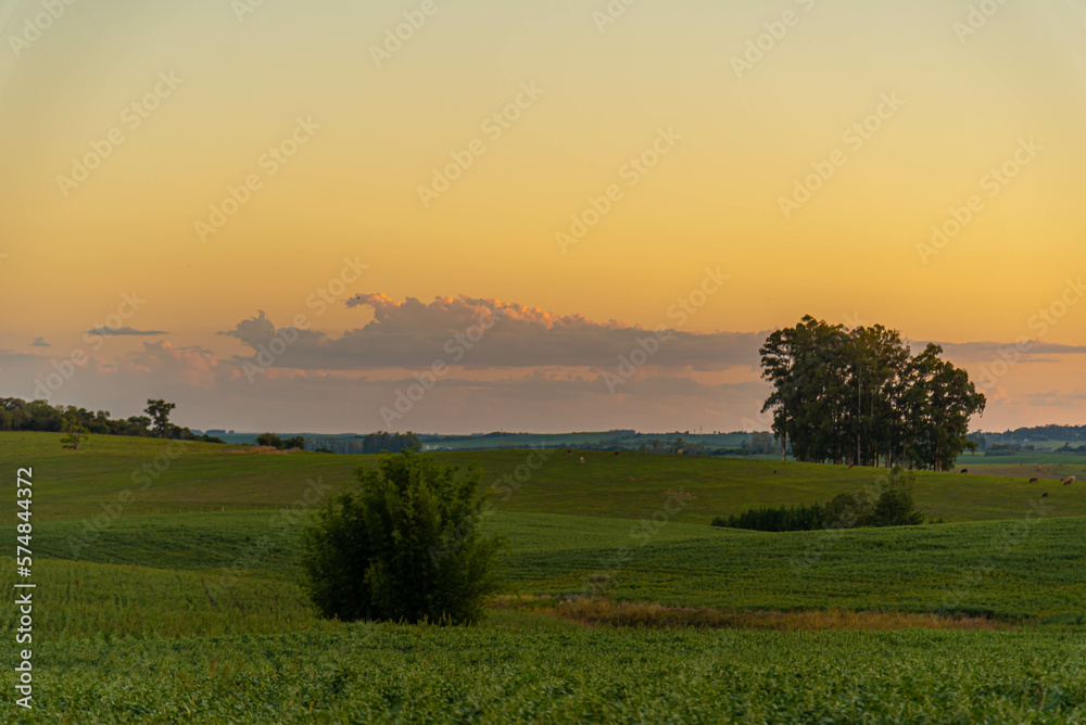 Dusk in the landscape of the pampa biome Dusk in the landscape of the pampa biome