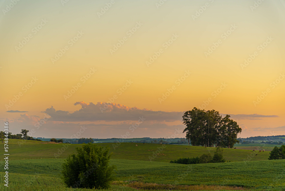 Dusk in the landscape of the pampa biome Dusk in the landscape of the pampa biome