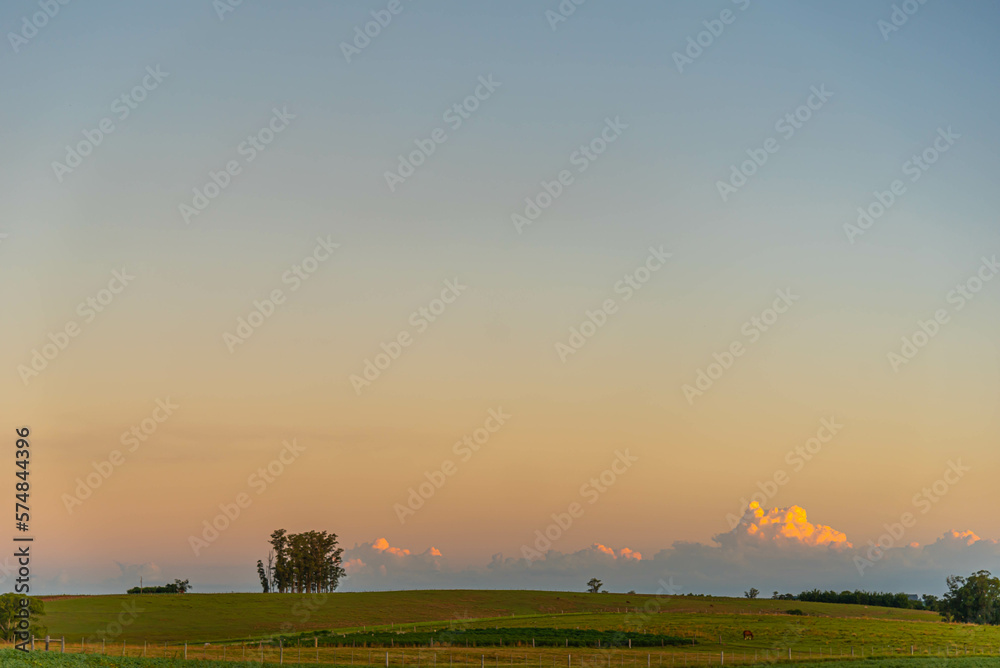 Dusk in the landscape of the pampa biome Dusk in the landscape of the pampa biome