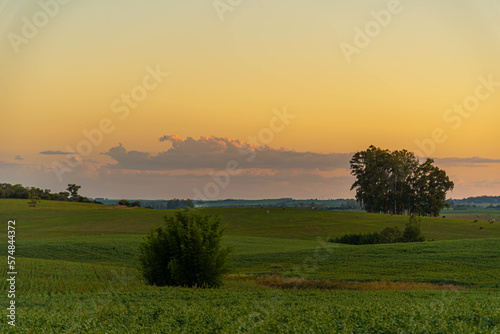 Dusk in the landscape of the pampa biome