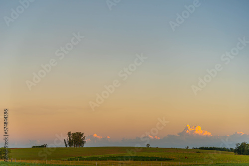 Dusk in the landscape of the pampa biome