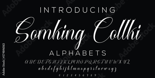 Signature Font Calligraphy Logotype Script Brush Font Type Font lettering handwritten