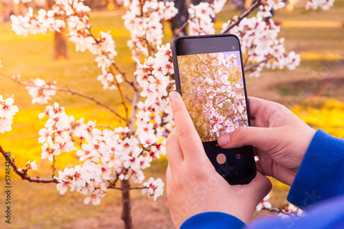 close-up of hands taking a photo with a smartphone of almond blossoms