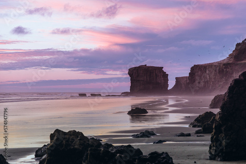 The sky above Muriwai Beach is a canvas of pink and violet hues, as soft clouds hover over the rugged rock formations and bustling gannet colony. (ID: 574847796)