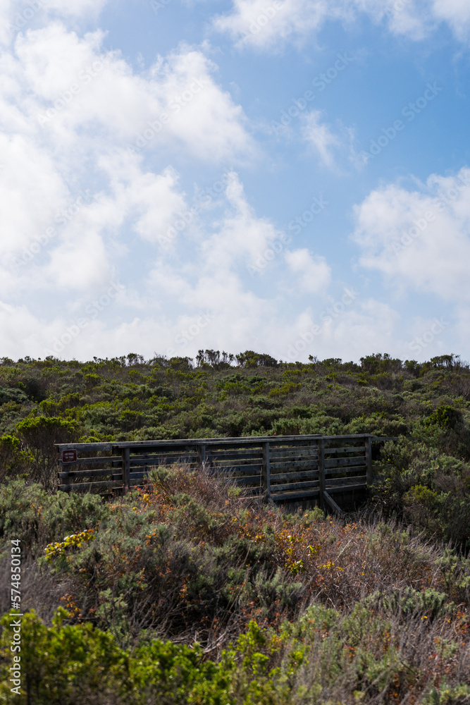 Views while hiking in Montana de Oro State Park. Some of those views are the rocky coastline, bluffs, birds, like seagulls and cormorants, breaking waves, pacific ocean, large trees, rolling hills