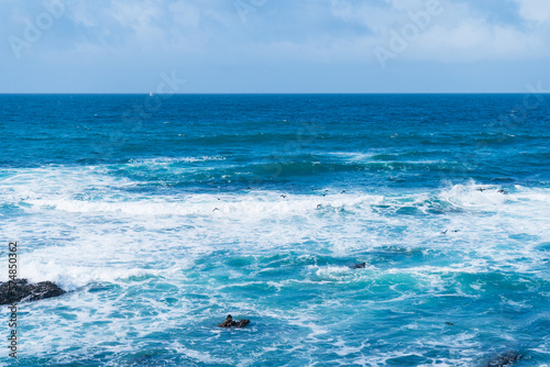 Views while hiking in Montana de Oro State Park. Some of those views are the rocky coastline, bluffs, birds, like seagulls and cormorants, breaking waves, pacific ocean, large trees, rolling hills