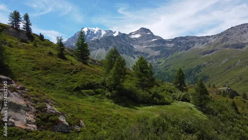 Ascending flight over green hills with trees and snowy mountain range of Switzerland in background in summer Ascending flight over green hills with trees and snowy mountain range of Switzerland in background in summer