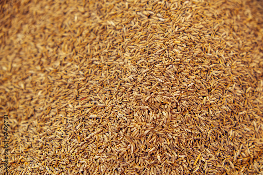 Jeera Cumin  spice background. Top view of zira. Cumin seeds from above. High angle photo of zira jeera cumin spices