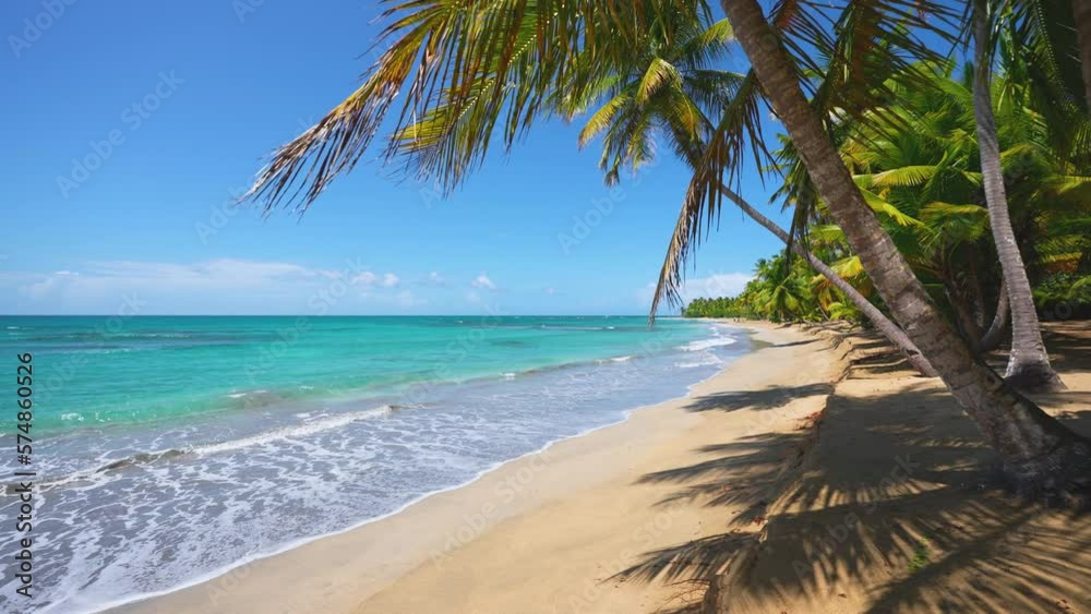 Seamless loop of sea waves on golden Hawaiian sand beach. Palm trees, blue sea and pure natural landscape. Walk along the tropical exotic sandy beach. Paradise beach on an island in the ocean.