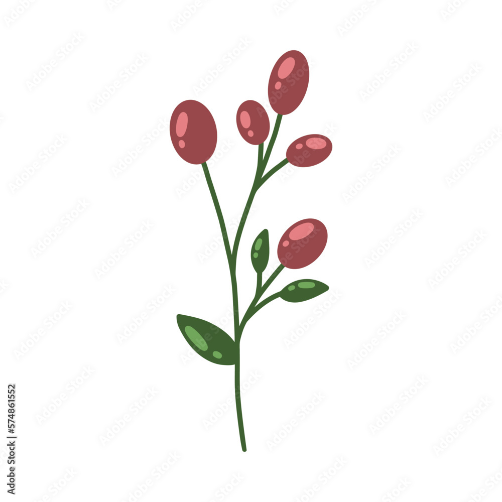beatiful botanical blossom flower and floral
beatiful botanical blossom flower and floral