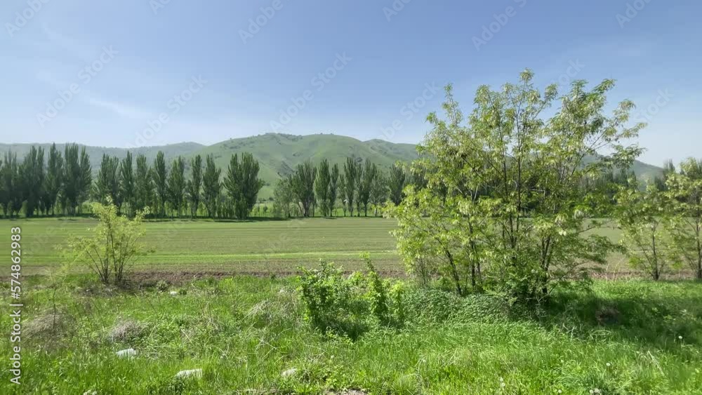 Different trees and a small field in a hilly area away from the urban environment. Different trees and a small field in a hilly area away from the urban environment.