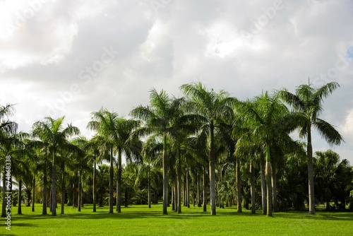 Haikou,Wanlv Garden photo