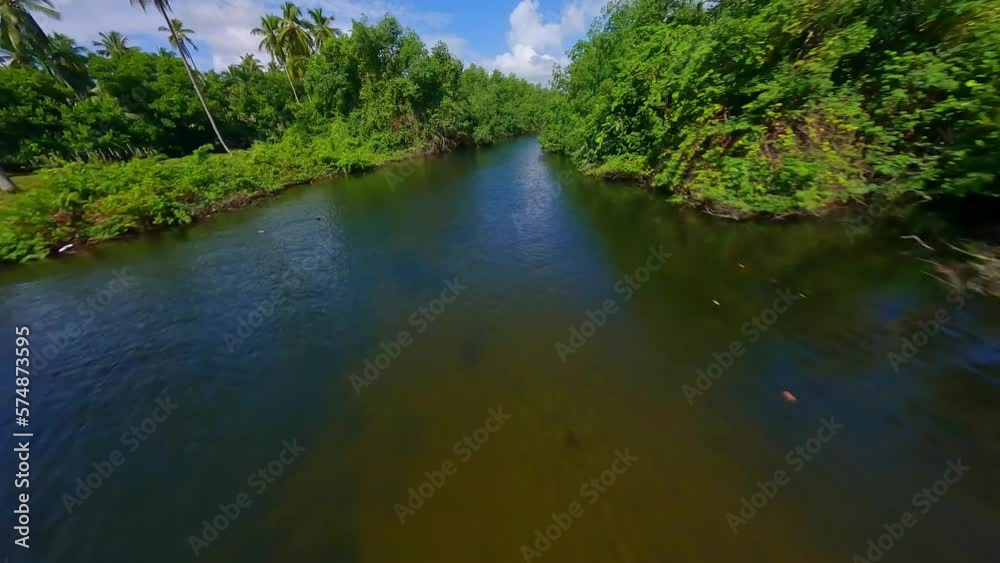 Flight over Arroyo Salado river and tropical forest, Cabrera in Dominican Republic. Aerial racing drone fpv Flight over Arroyo Salado river and tropical forest, Cabrera in Dominican Republic. Aerial racing drone fpv