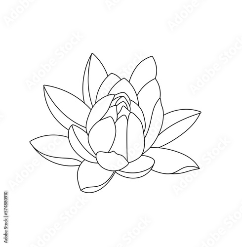 Papier peint Vector isolated one single water lilly nenuphar flower blossom bud with petals