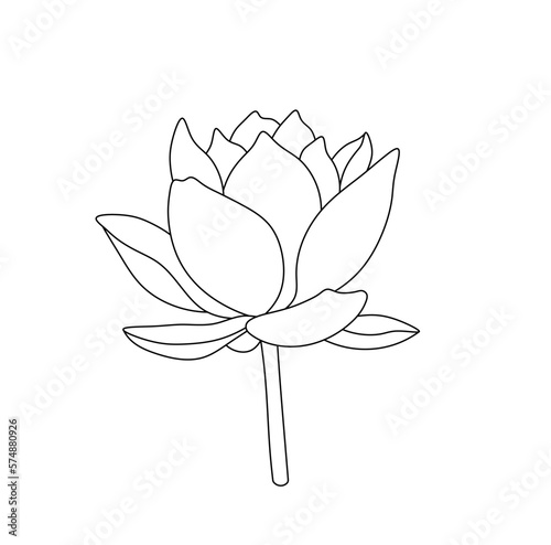 Vector isolated one single water lilly nenuphar flower blossom bud with petals colorless black and white contour line easy drawing