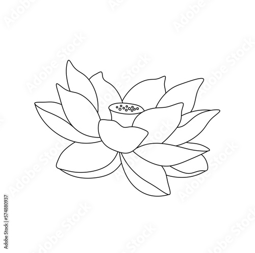 Photographie Vector isolated one single water lilly nenuphar flower blossom bud with petals