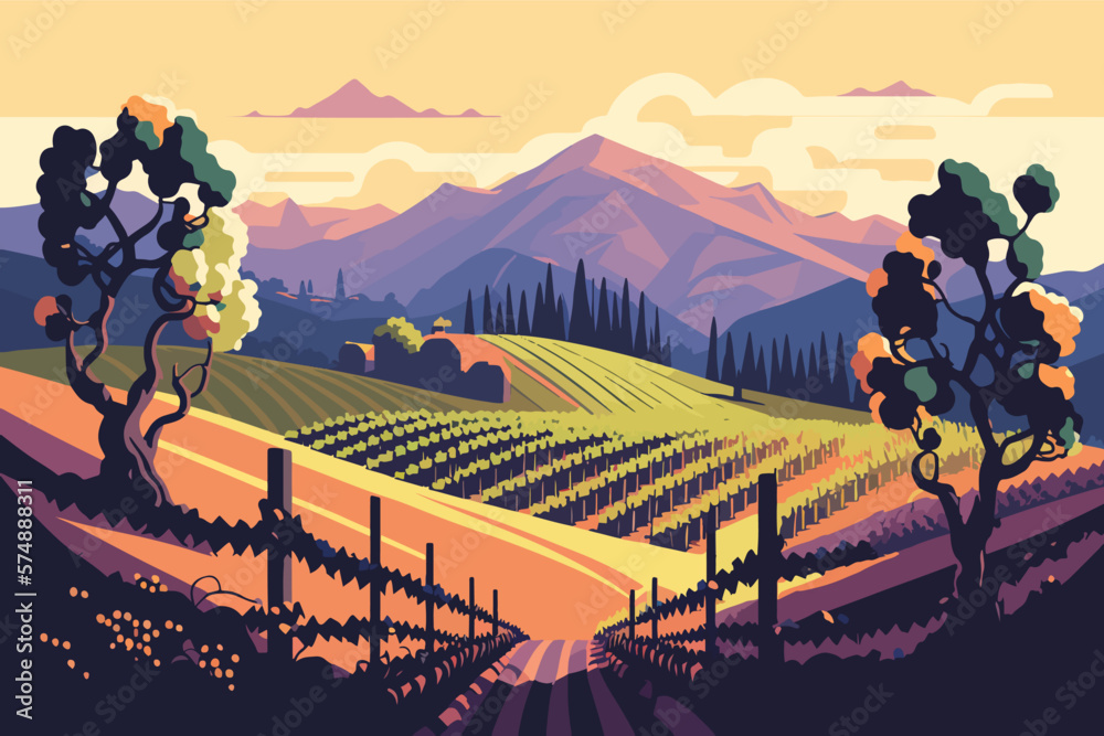 Evening view, Vineyard beautiful view from the hill, 2d vector drawing