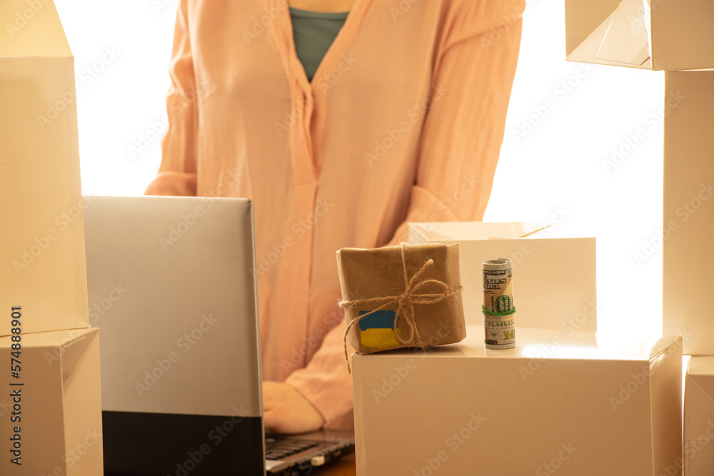 Sending humanitarian aid to Ukraine and a girl with a laptop and dollars lie on the boxes, help for ukraine Sending humanitarian aid to Ukraine and a girl with a laptop and dollars lie on the boxes, help for ukraine