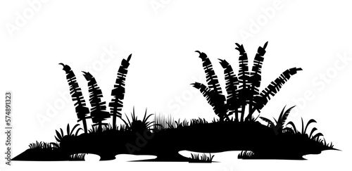 Bank of river or swamp with fern shoots. Swamp landscape. View of the river bank. Silhouette picture. Isolated on white background. Vector.