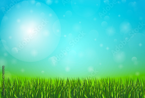 Spring natural background with green grass and blue sky vector illustration