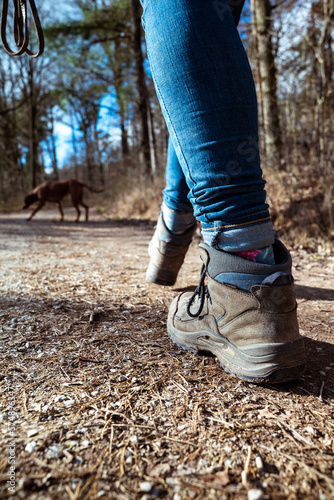 Gassi gehen im Wald. Wanderschuhe. Auslauf mit dem Hund. frische Luft