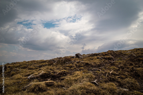 Highland valley with dry yellow grass and broken tree stump landscape photo. Nature scenery photography with dim sky. Ambient light. High quality picture for wallpaper, travel blog, magazine, article