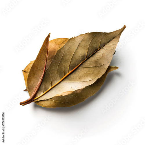 spices. Bay leaf isolated on white background.generative AI. 