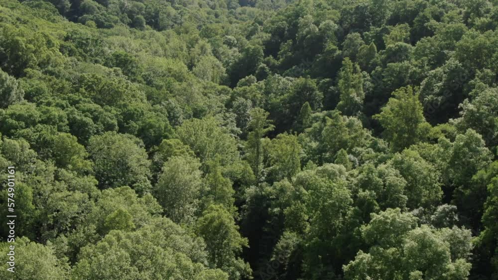 Aerial view looking down on lush tree canopy in Hocking Hills in southeast Ohio in summer Aerial view looking down on lush tree canopy in Hocking Hills in southeast Ohio in summer